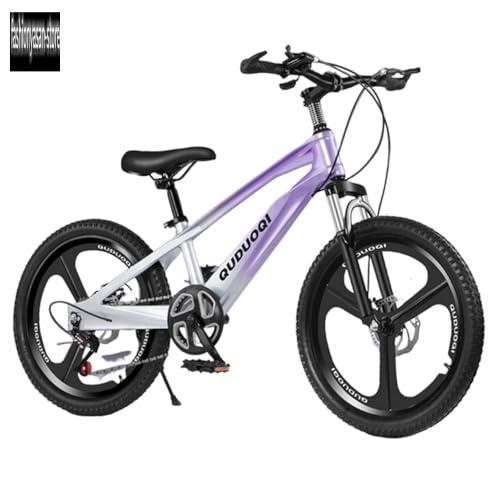 子ども用マウンテンバイク 子供自転車MTB 20インチ/22インチ オン
