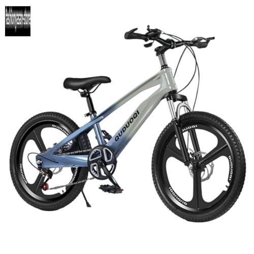 ジュニア向けマウンテンバイク22型 子ども用マウンテンバイク 子供自転車MTB 20インチ/22インチ オン