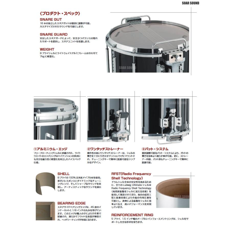 Ludwig ラディック　タンバリン　10インチ Ludwig '60 Headless Rcck Tambourine 10 inch