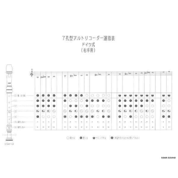 AULOS アウロス 7孔型 右手用 ドイツ式 改造リコーダー アルト