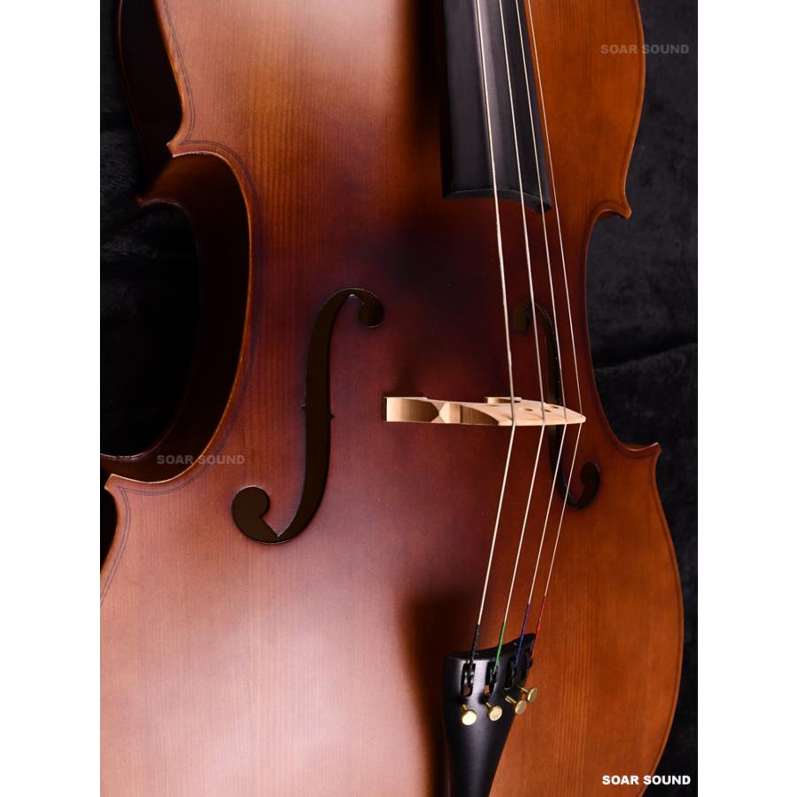 初期調整済み Hallstatt ハルシュタット cello チェロ 初心者