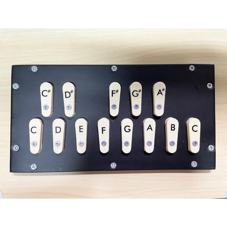 サウンドキング インド民族楽器 シュルティ ボックス shruti box Female Scale BG-58/S/F