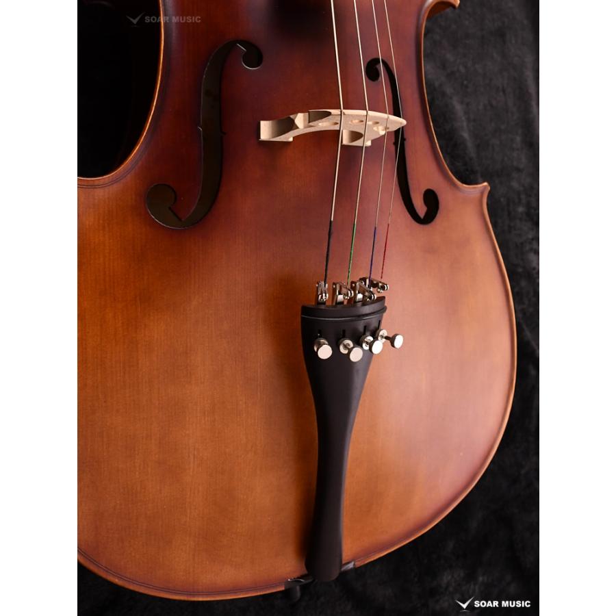 初期調整済み Hallstatt ハルシュタット cello チェロ 初心者 5点