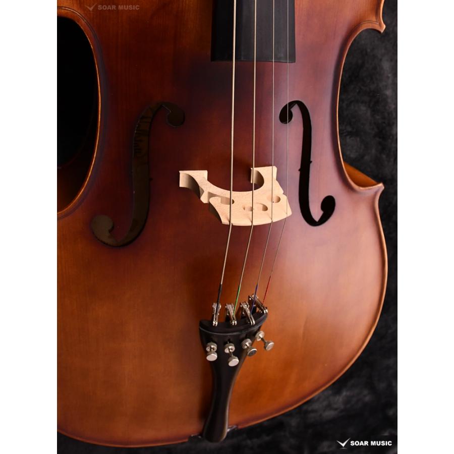 初期調整済み Hallstatt ハルシュタット cello チェロ 初心者 5点