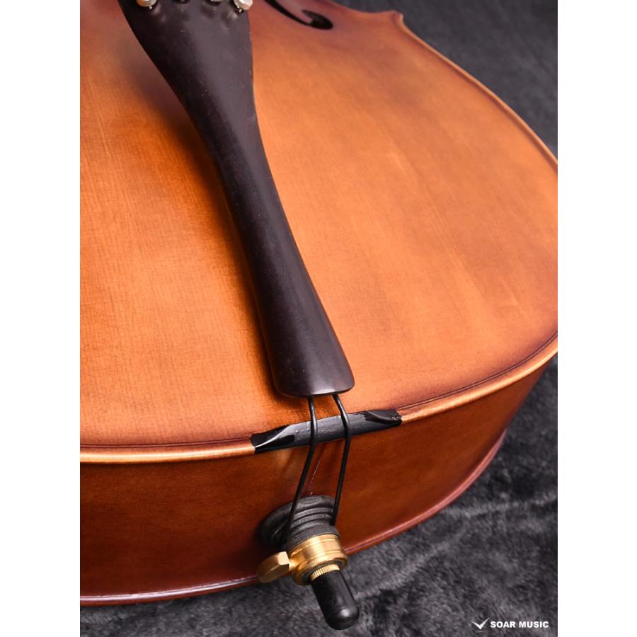 初期調整済み Hallstatt ハルシュタット cello チェロ 初心者 5点
