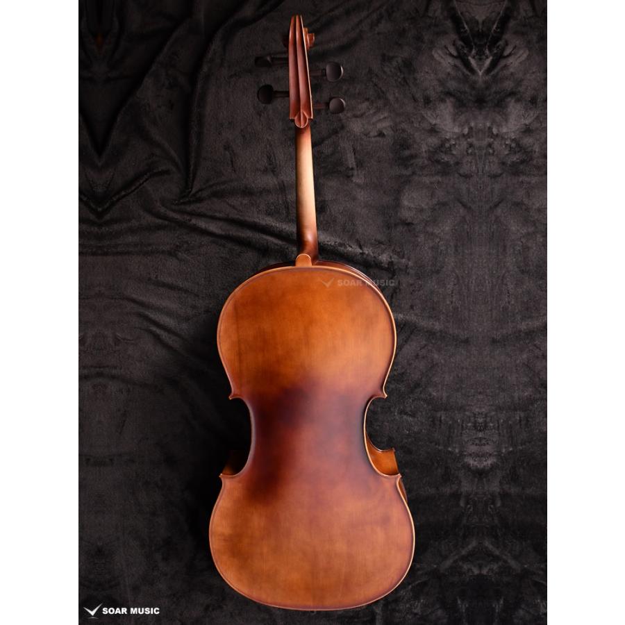 初期調整済み Hallstatt ハルシュタット cello チェロ 初心者 5点