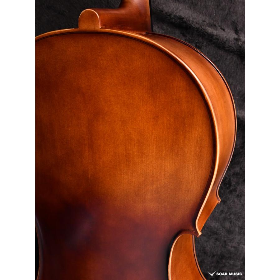 初期調整済み Hallstatt ハルシュタット cello チェロ 初心者 5点
