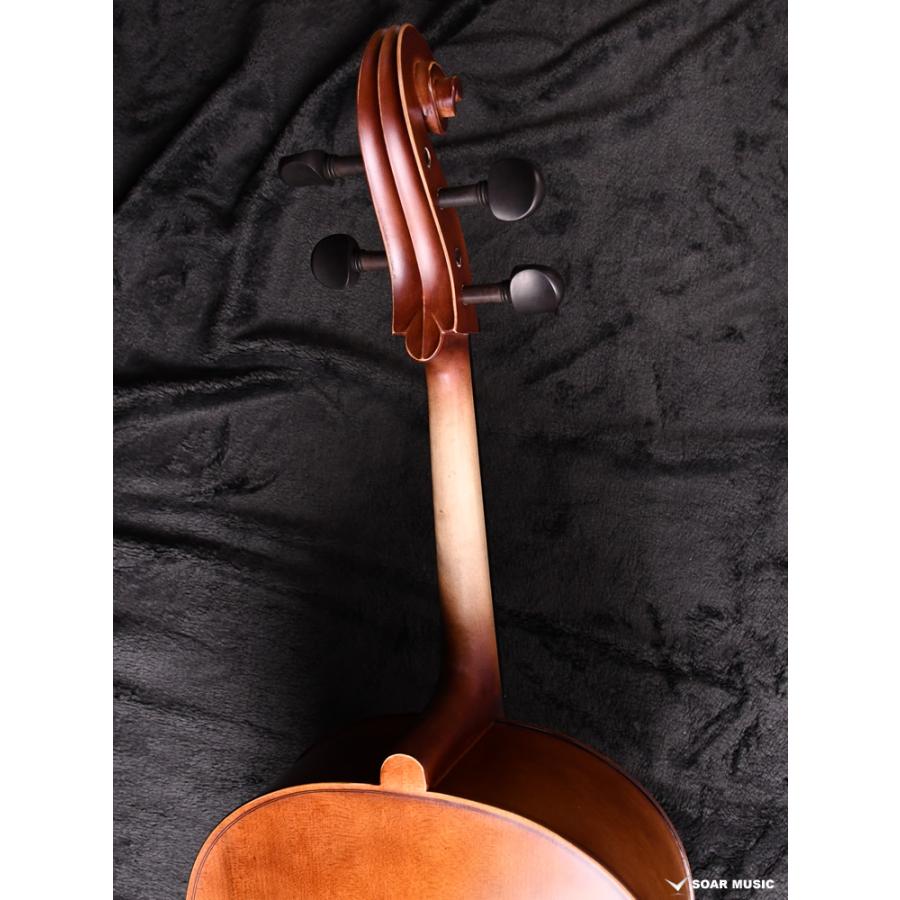 初期調整済み Hallstatt ハルシュタット cello チェロ 初心者 5点