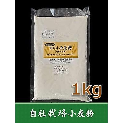 農林61号小麦粉 茨城県常陸太田産 1kg Cn 01 そばとぴあ水府 通販 Yahoo ショッピング
