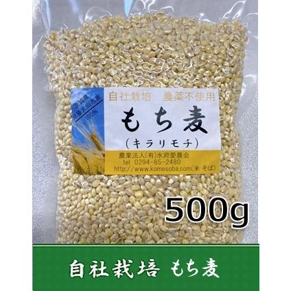もち麦【キラリモチ】皮なし 500g 常陸太田産 自社栽培 100% 令和7年産