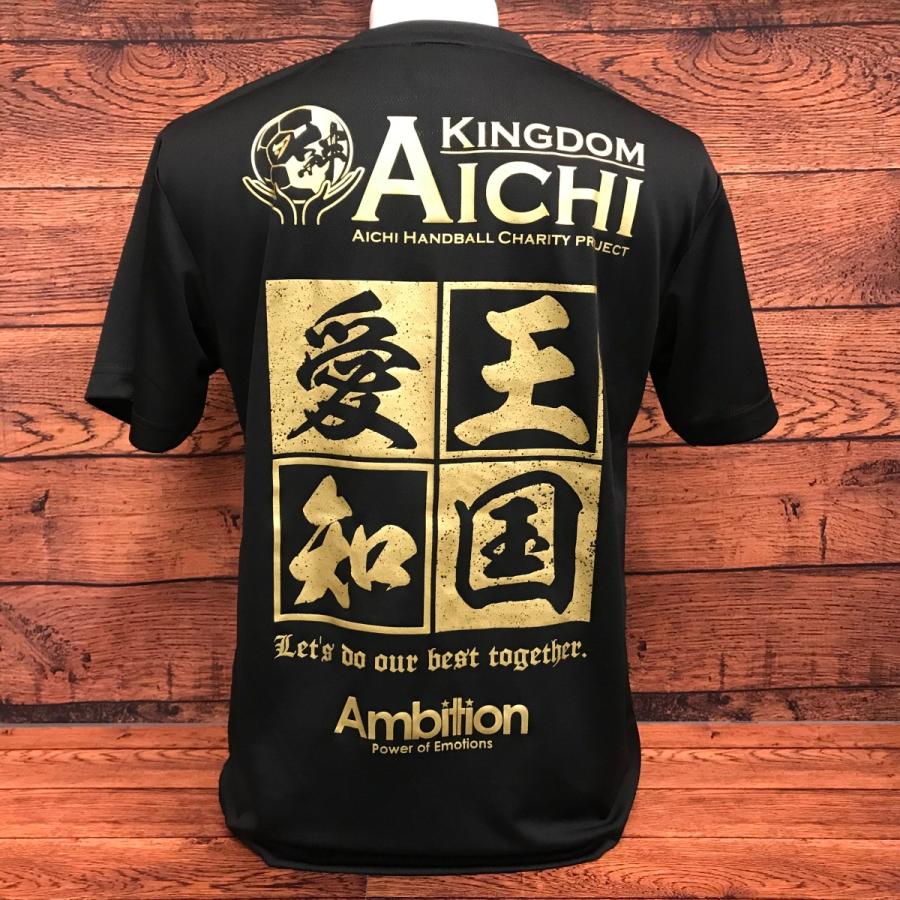 お値下げしました( ¨̮ )ハンドボール 愛知県選抜 Tシャツレア