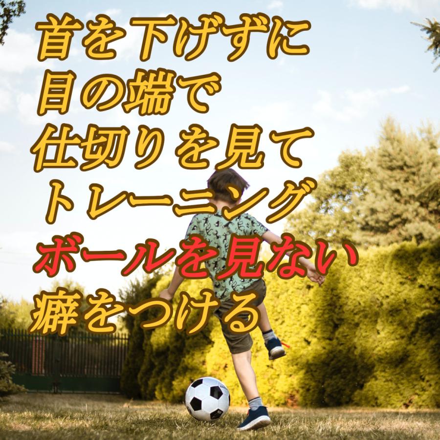 60 Off トレーニングラダー サッカー フットサル バスケット トレーニング 敏捷性 4m ラダートレーニング Cisama Sc Gov Br