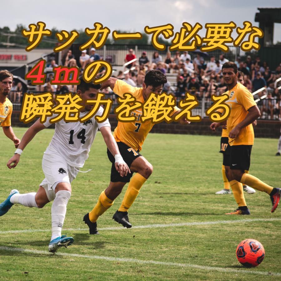 トレーニング ラダー サッカー 陸上 アジリティ 練習道具 4m 2個セット 収納袋｜soccertosan｜02