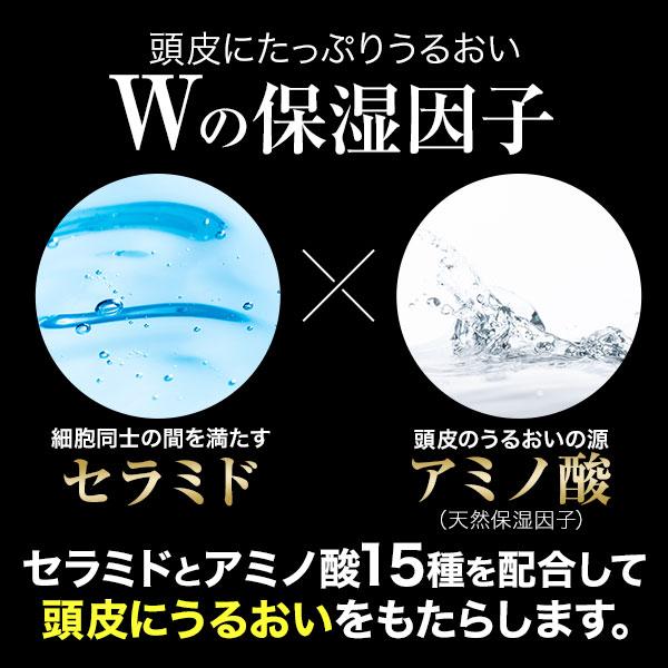 チャップアップ（CHAP UP） 付け替え用 公式 医薬部外品 育毛剤 120ml