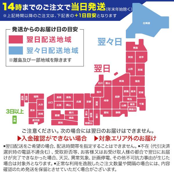 チャップアップ 公式 育毛 ローション 1本 シャンプー セット