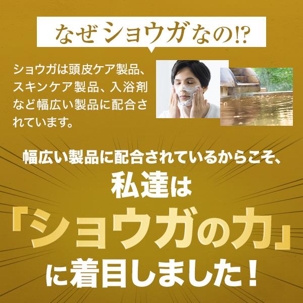 公式 チャップアップ 濃密泡 シャンプー 300ml 2本 メンズ スカルプシャンプー ボトル アミノ酸シャンプー ノンシリコン | チャップアップ | 12