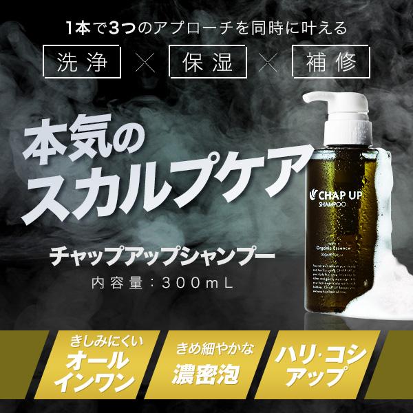 CHAP UP シャンプー 300ml 詰め替え用3袋セット チャップアップ（CHAP UP） スカルプシャンプー 詰め替え メンズ 公式