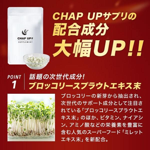 上等 男性 男性用 女性用 ランキング チャップアップ サプリメント 2袋 ノコギリヤシ サプリ Chap Up 亜鉛 日本製 ポイント消化 Riosmauricio Com