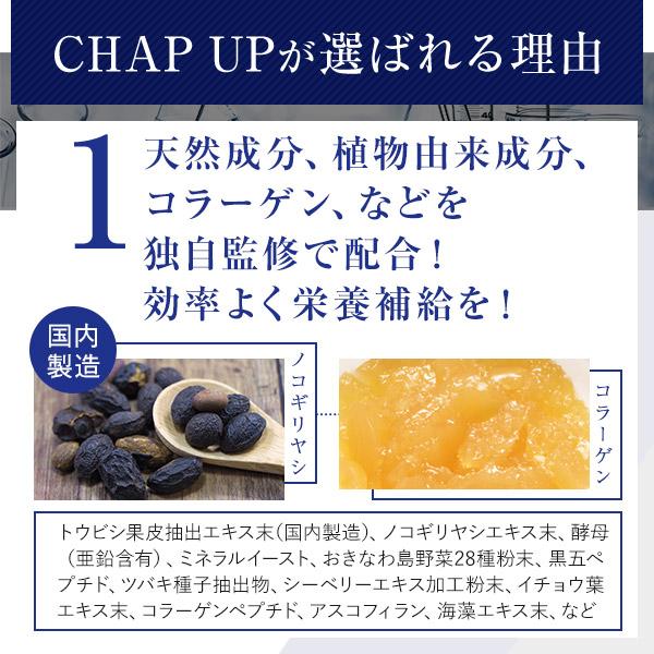 チャップアップ（CHAP UP） 公式 ノコギリヤシ サプリ 120粒 3袋 育毛