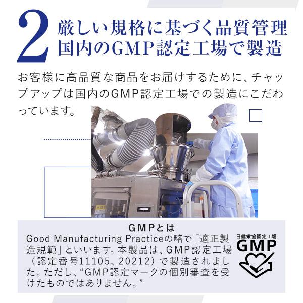 チャップアップ（CHAP UP） 公式 ノコギリヤシ サプリ 120粒 3袋 育毛