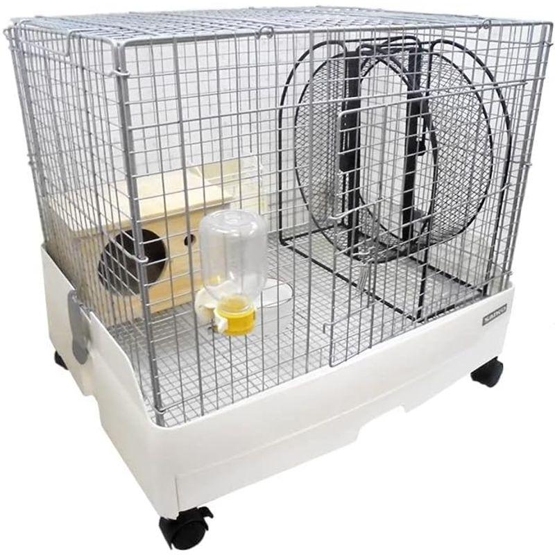 リチャードソンジリス 飼育セットAコース 飼育セットAコース 　