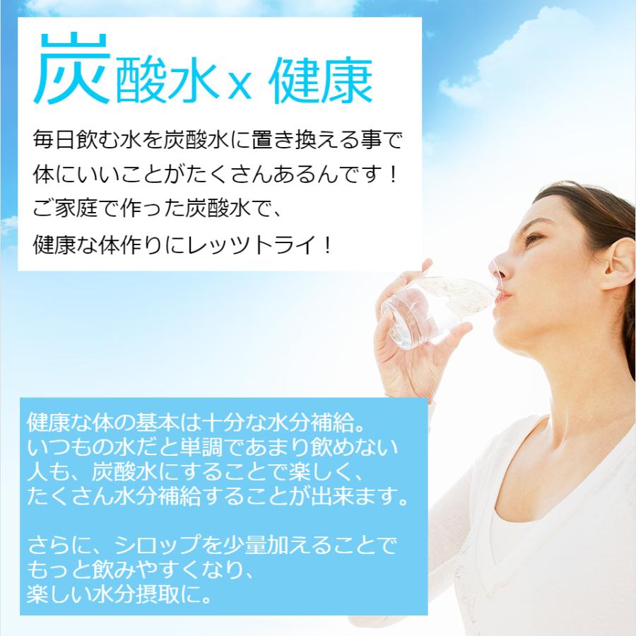 【代引限定】ソーダストリーム ガスシリンダー(交換用) 60L＜炭酸水メーカー＞｜sodastream-gas｜04