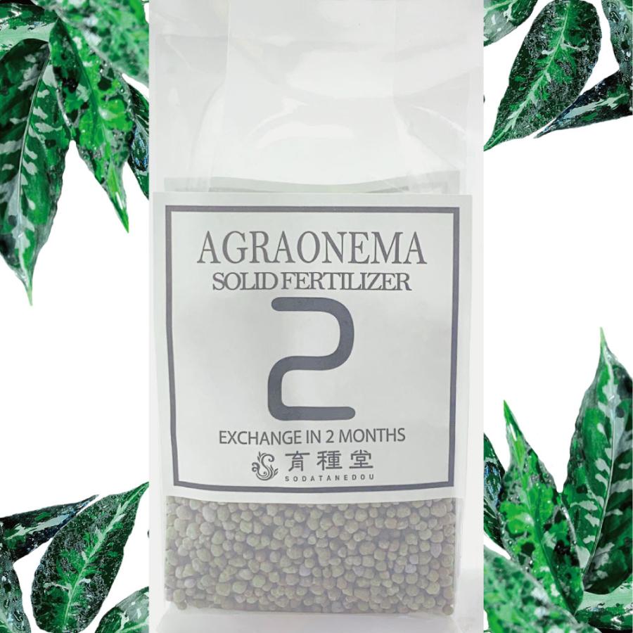 アグラオネマ専用 アグラオネマ専用 固形肥料 : 育種堂ヤフー店 - 通販 - Yahoo!ショッピング