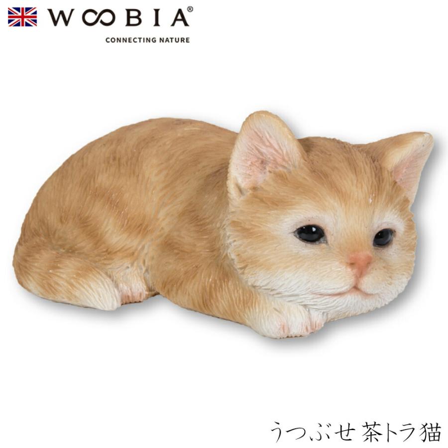 猫の寅 Birthday present from cats to grandpa【japanese cat】 - YouTube