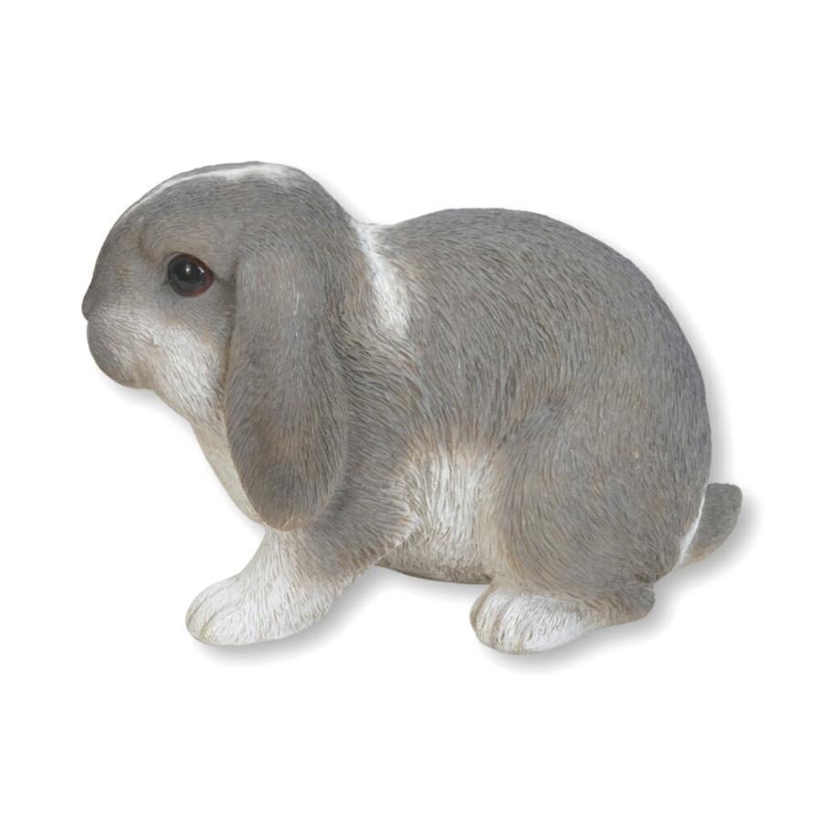 Woobia（ウービア）【ホーランドロップ・イヤー（白グレー