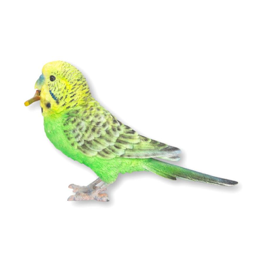 Woobia（ウービア）【青緑セキセイインコ】 (幅14.2×奥行4.2×高