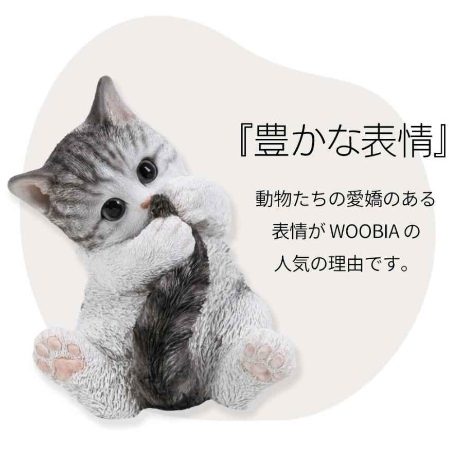 Woobia（ウービア）【青緑セキセイインコ】 (幅14.2×奥行4.2×高