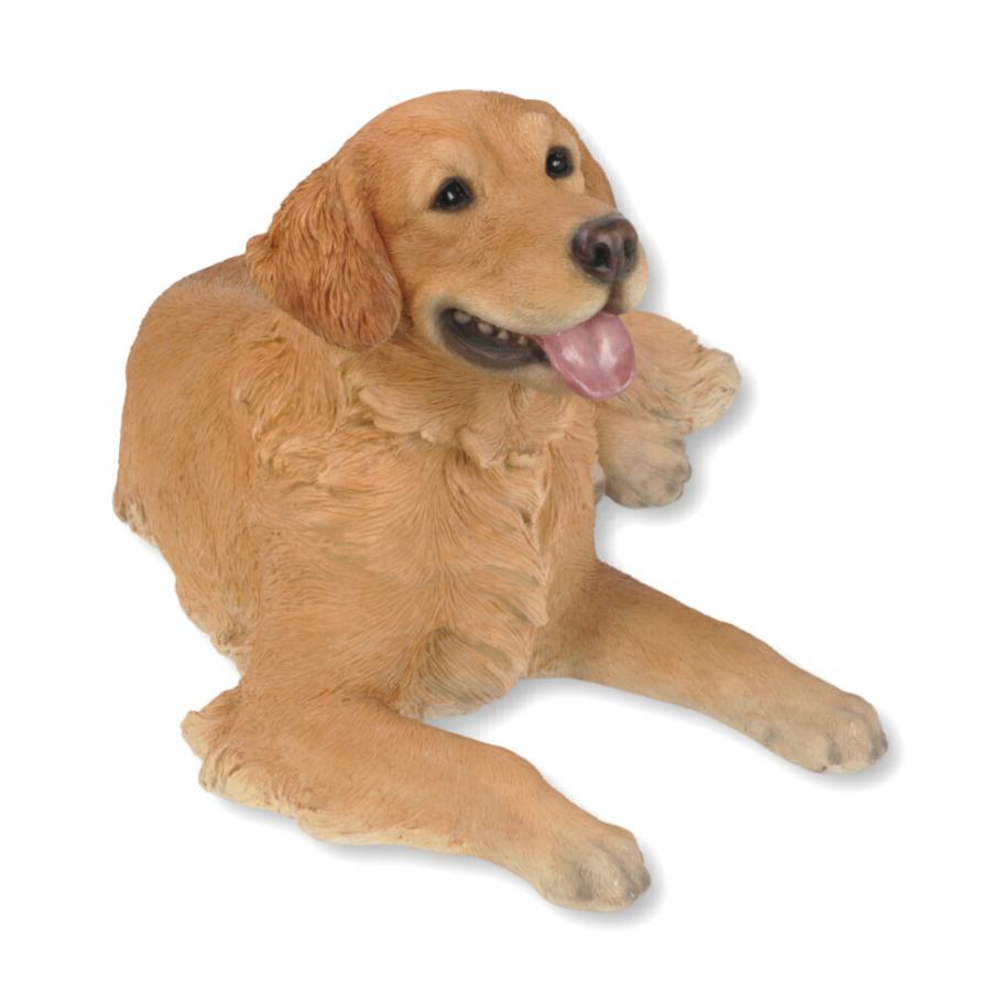 レトリバー Amazon.co.jp: HY2166F 夢いぬDX ゴールデンレトリバー : おもちゃ