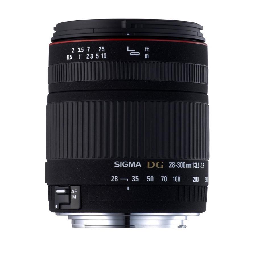 ⭐SIGMA 28-300mm Nikon用 標準+望遠レンズ 美品⭐送料無料 広角～望遠SIGMA 28-300mm F3.5-6.3 DG MACRO