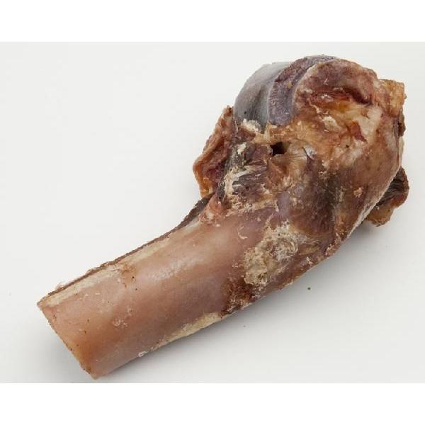 SOFIA HIGHEST series えぞ鹿ボーン Lサイズ （犬用） |  | 01