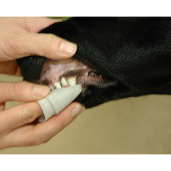 ワンコ歯石トルン （犬・猫用） 120枚入り わんこ/歯ブラシ/犬/猫/歯磨き粉 |  | 03