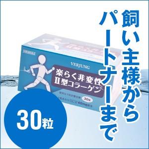 楽々非変性II型コラーゲン 30粒 | 