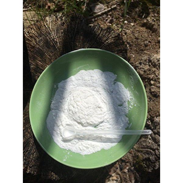 プロバイオデンタル　粉状（パウダー） |  | 01