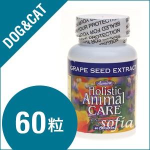 アズミラ Azmiraグレープシードエクストラクト ２オンス （犬・猫用） | 