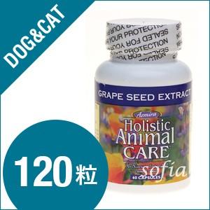 アズミラ Azmiraグレープシードエクストラクト　8オンス （犬・猫用） | 