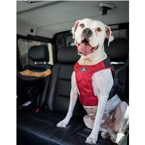 sleepypod クリキットテレイン　XLサイズ |  | 04