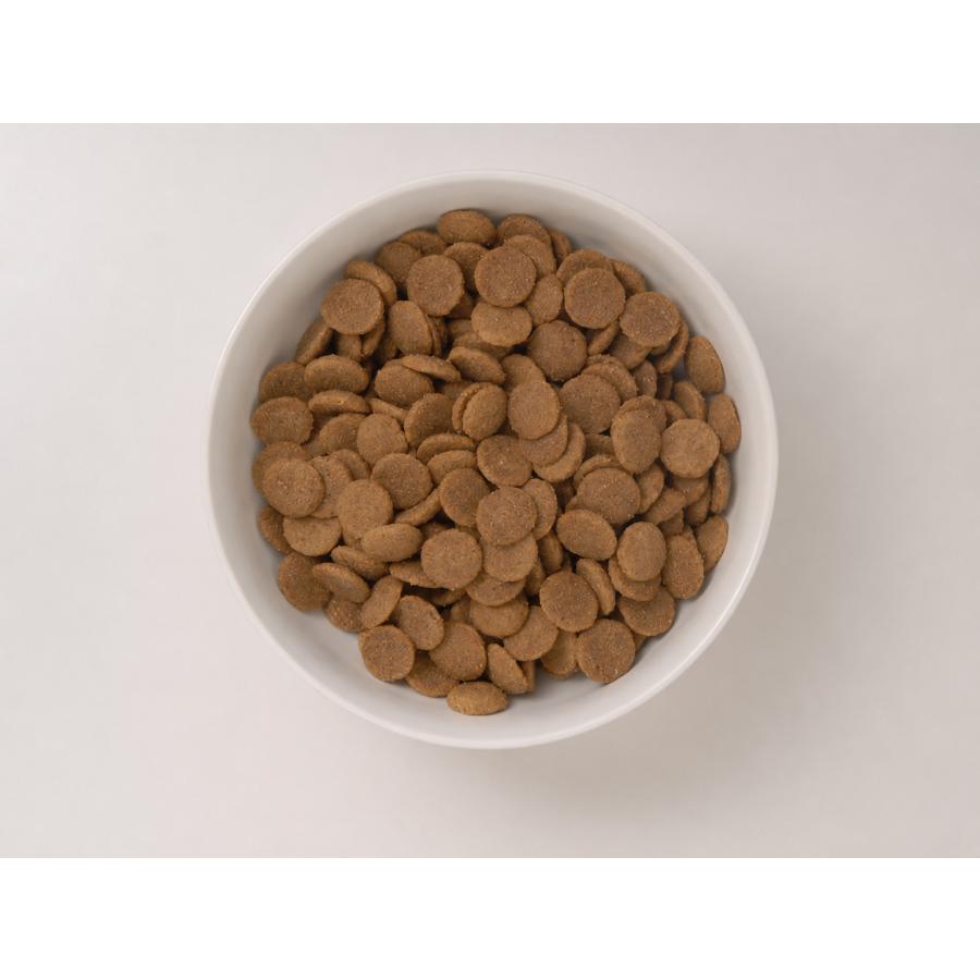 クプレラ CUPURERA クラシック ラム＆ミレット・レギュラー 普通粒 900g 犬用 ドッグフード ラム肉 成犬 グルテンフリー 総合栄養食 |  | 01