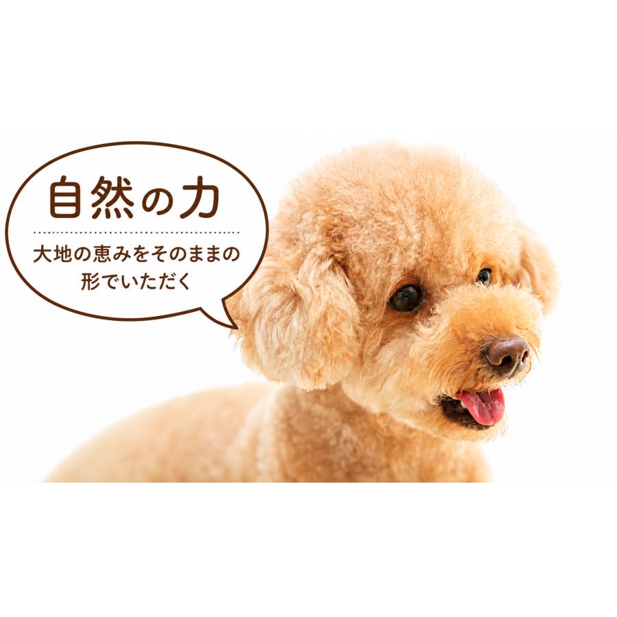 クプレラ CUPURERA セミベジタリアン・ドッグ 9.08kg 犬用 ドッグフード 白身魚 低カロリー 成犬 シニア犬 体重管理 総合栄養食 ベースフード |  | 04