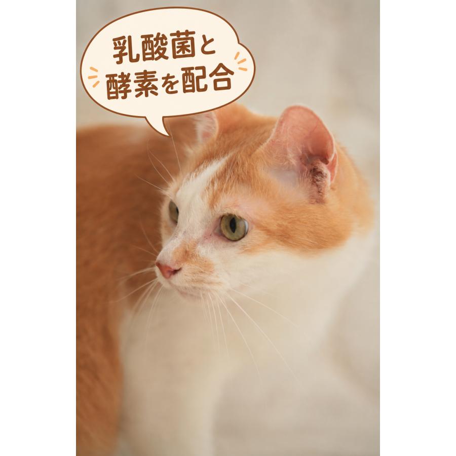 クプレラ CUPURERA セミベジタリアン・ドッグ 2.27kg 犬用 ドッグフード 白身魚 低カロリー 成犬 シニア犬 体重管理 総合栄養食 ベースフード 肥満犬 |  | 08
