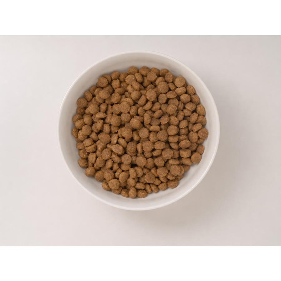 クプレラ CUPURERA クラシック ラム＆ミレット 小粒 22.7kg 犬用 ドッグフード ラム肉 小型犬 中型犬 成犬 グルテンフリー 総合栄養食 |  | 02