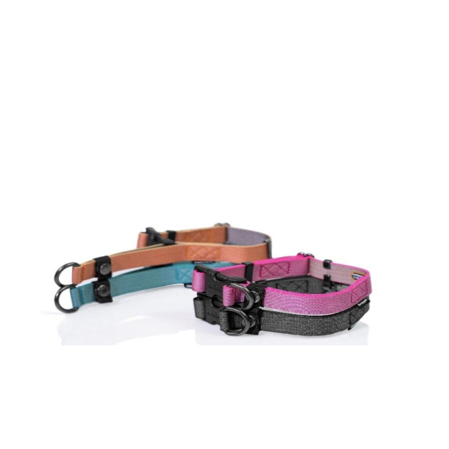 【sleepypod】Locking Martingale Collar (ロッキングマーチンゲールカラー）Mサイズ・全4色【犬用/首輪】 |  | 01
