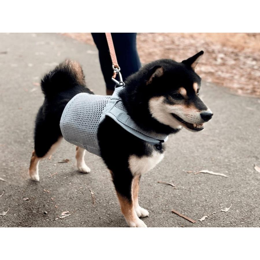 【sleepypod】Martingale Dog Harness / マーチンゲールドッグハーネス Sサイズ（5色）【犬用・ハーネス