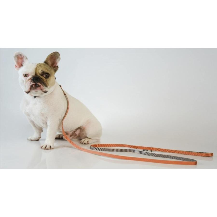 【sleepypod】Slim Leash /スリムリーシュ（4色）【猫用・犬用・リード】 | 