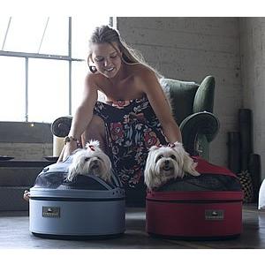 スリーピーポッド sleepypod（スタンダードタイプ） : ソフィア