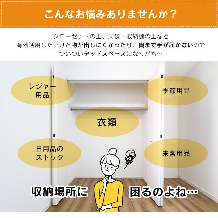 IRIS OHYAMA（アイリスオーヤマ） 衣装ケース プラスチック ロック TB