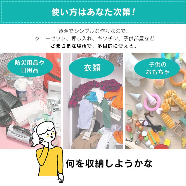 IRIS OHYAMA（アイリスオーヤマ） 衣装ケース プラスチック ロック CB